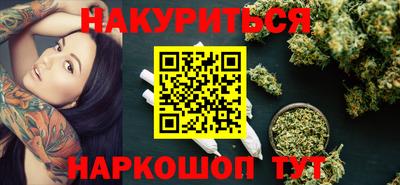 гашик Гатчина