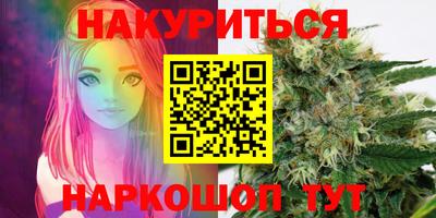 гашик Гатчина