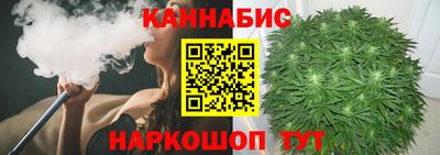 гашик Гатчина