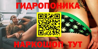 кокс Гай