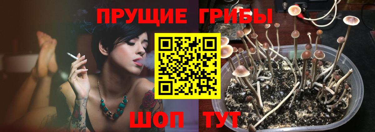  COCAIN Санкт-Петербург